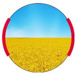 CT Newsletter Titel Ukraine CT Newsletter Titel Ukraine